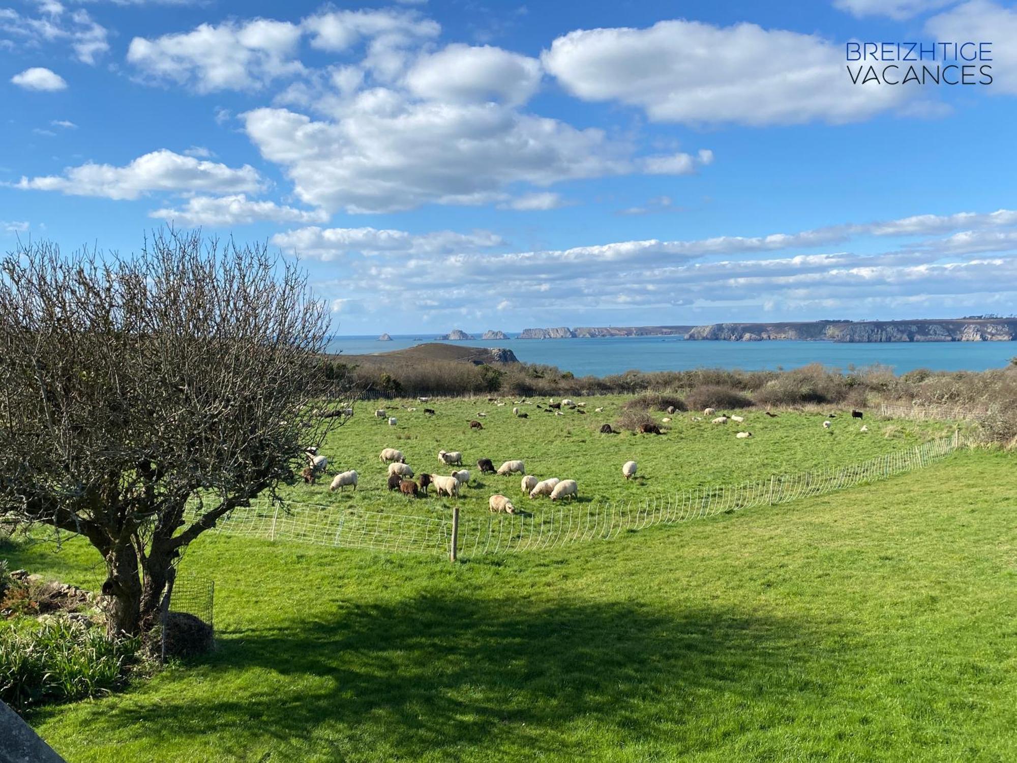 Vakantiehuis Penty Kergonan Avec Belle Vue - Crozon, Bretagne Crozon